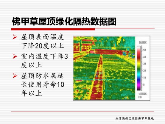 绿园佛甲草海绵城市应用PPT-12